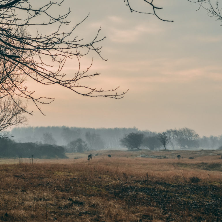 Amsterdam (Pays-Bas)